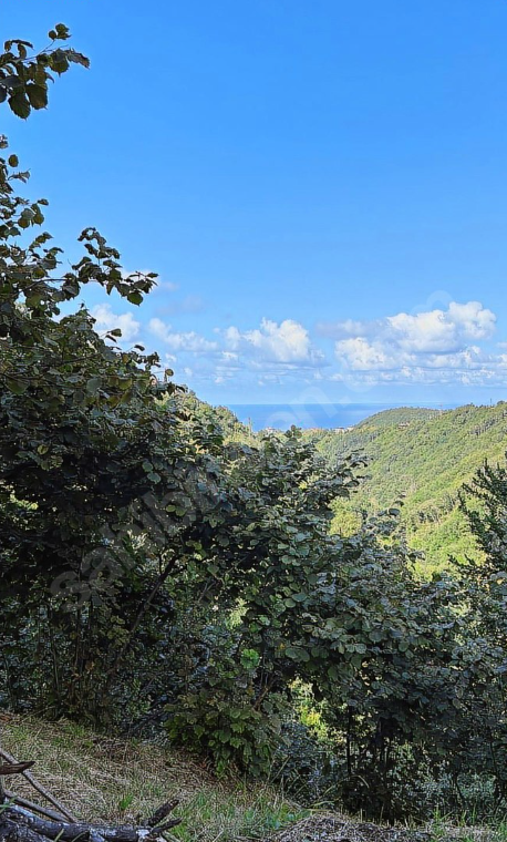 MERSİN'DE SATILIK 6 DÖNÜM FIRSAT ARSA